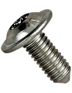 BOLT MOUNTING SCREW