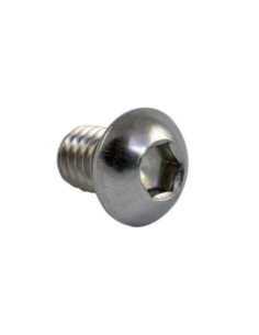 BOLT MOUNTING SCREW
