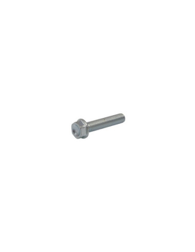 BOLT MOUNTING SCREW