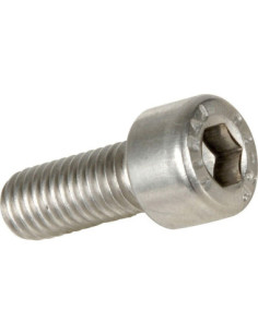 BOLT MOUNTING SCREW