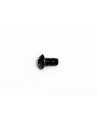 BOLT MOUNTING SCREW