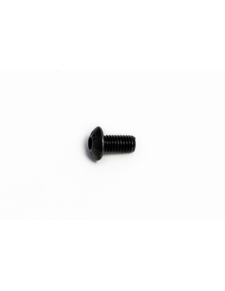 BOLT MOUNTING SCREW