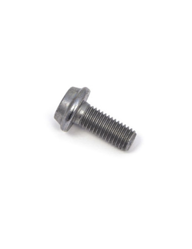 BOLT MOUNTING SCREW