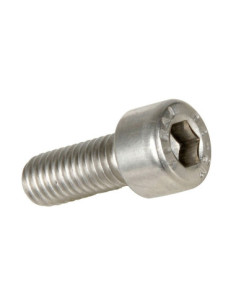 BOLT MOUNTING SCREW