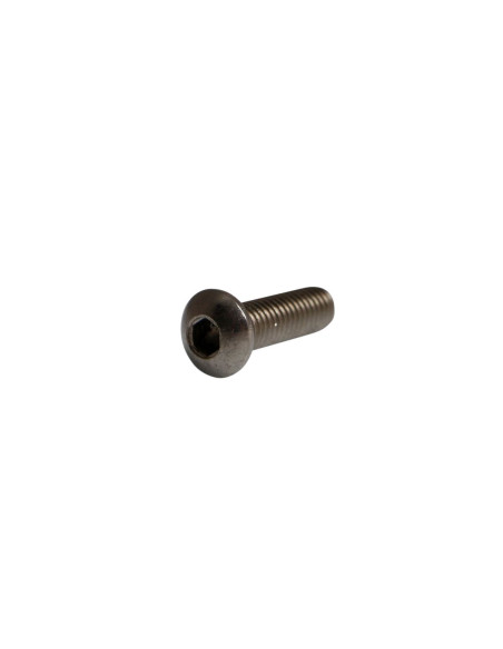 BOLT MOUNTING SCREW