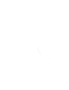 FORK OIL SEAL KIT MGR-SW 38x48x10