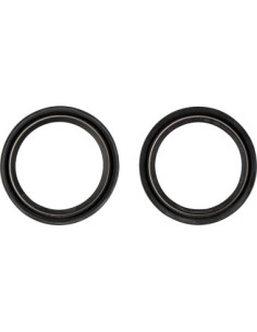 DUST SEAL 48.X58.50 WP