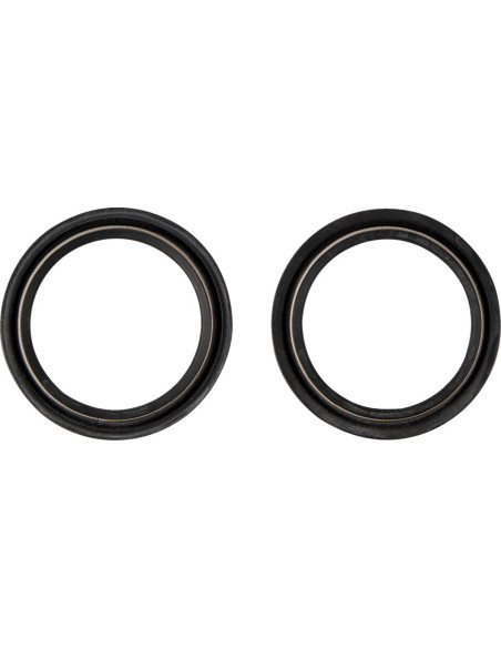 DUST SEAL 48.X58.50 WP