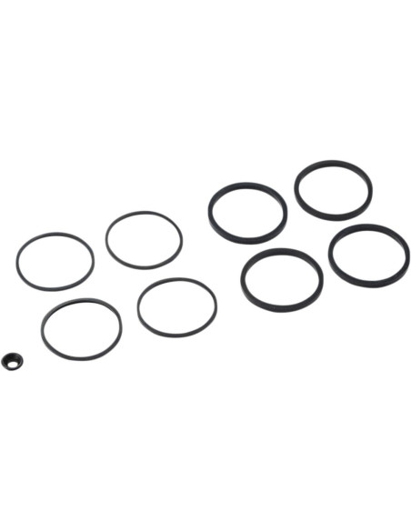 SEAL KT CALIPER 08-20 FLT