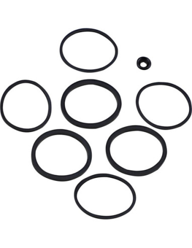 SEAL KT CALIPER 08-20 FLT