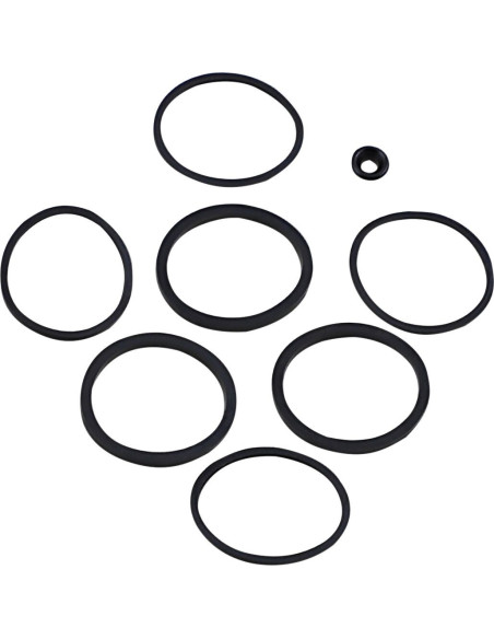 SEAL KT CALIPER 08-20 FLT