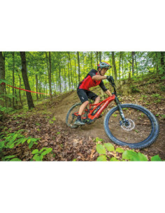 JERSEY MOOSE MTB RD MD