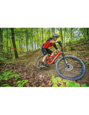 JERSEY MOOSE MTB RD LG